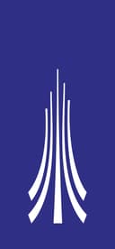 Paragon International University